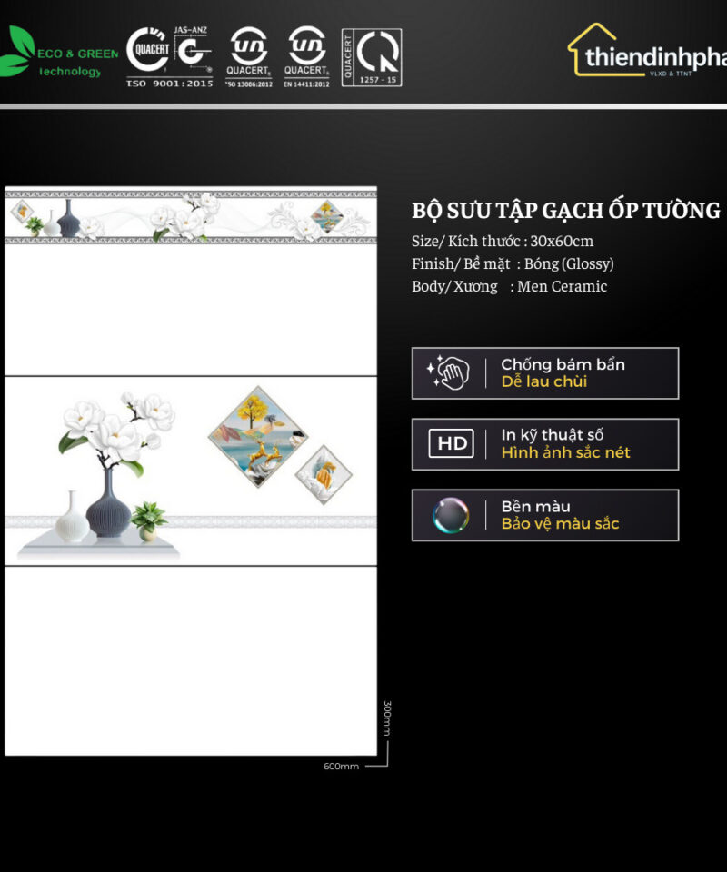 Gạch 30x60 cm