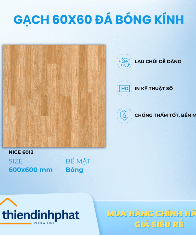 Gạch 60x60cm TDP606012 Đá Bóng Kính