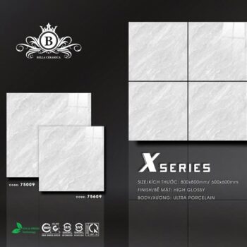 Gạch 800x800 TĐP75009 VITTO