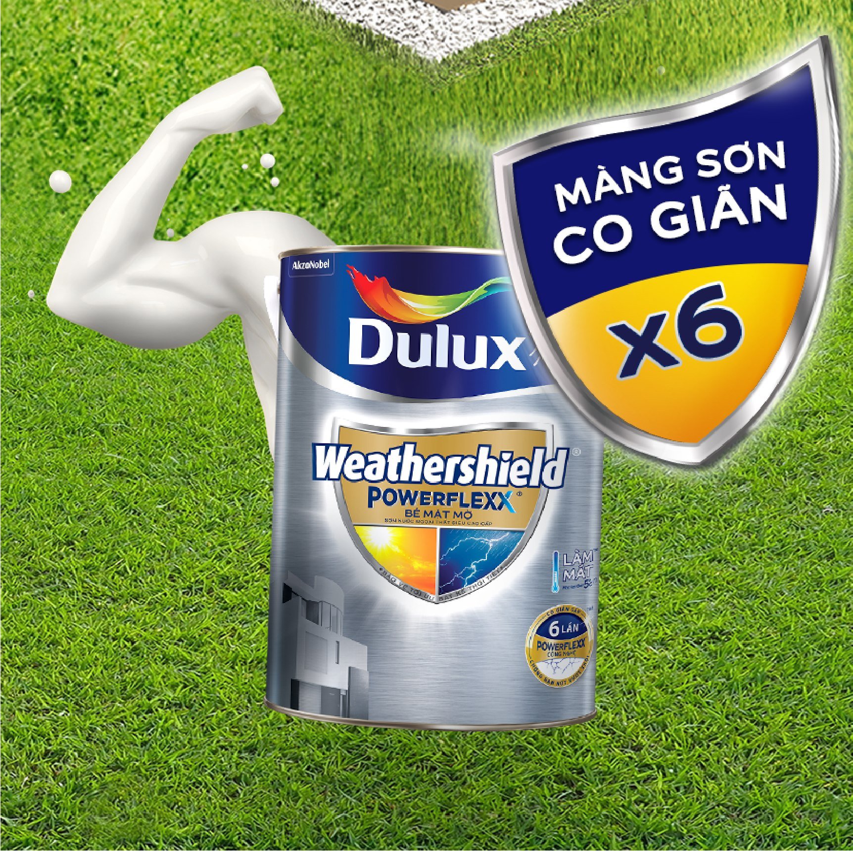 9db792c7ad9c14c24d8d