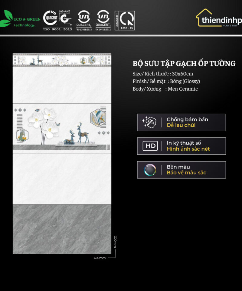 Gạch 30x60 cm