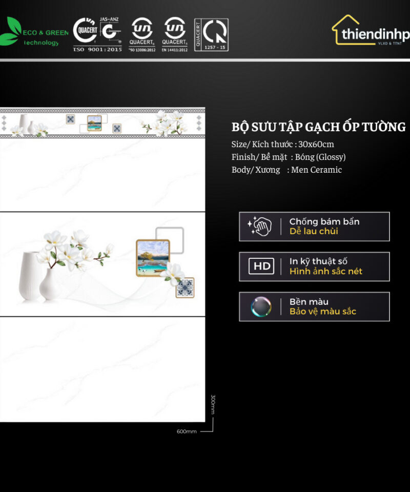 Gạch 30x60 cm