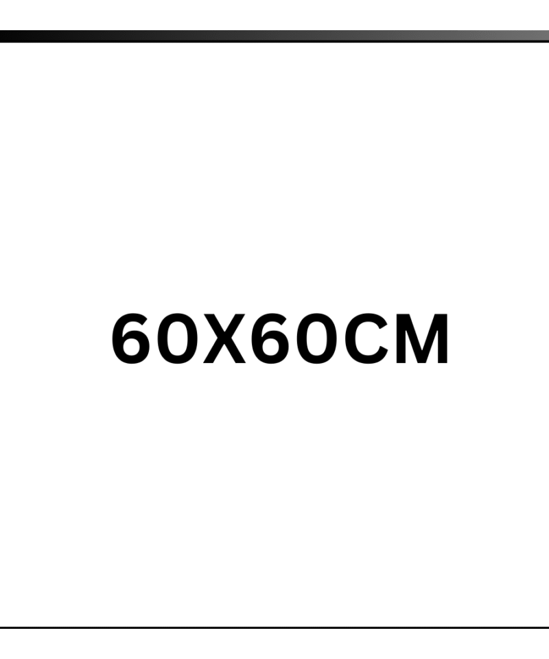 Gạch 60x60