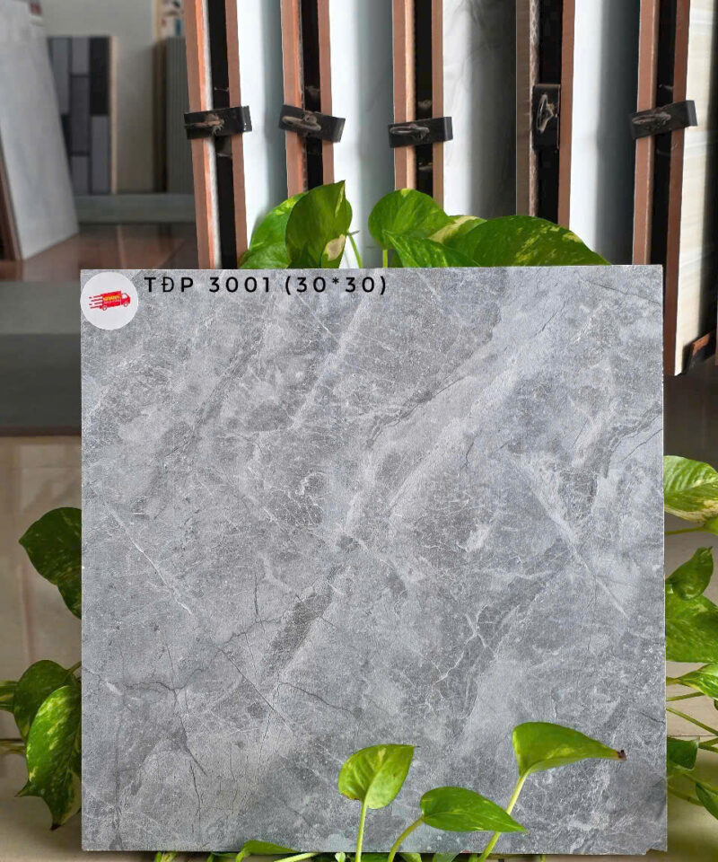 Gạch lát nền vệ sinh 30x30cm TDP3001