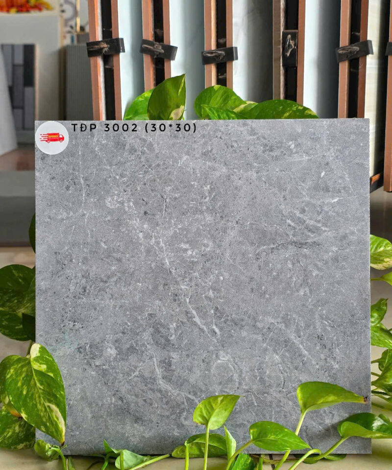 Gạch lát nền vệ sinh 30x30cm TDP3002