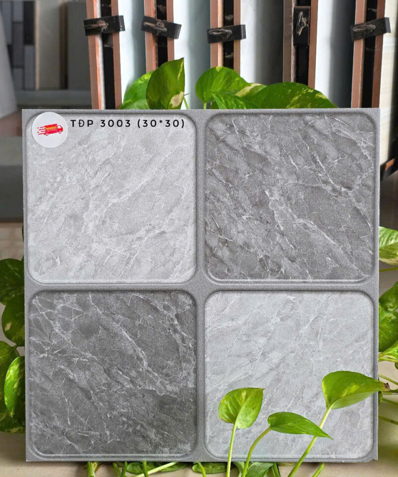 Gạch lát nền vệ sinh 30x30cm TDP3003