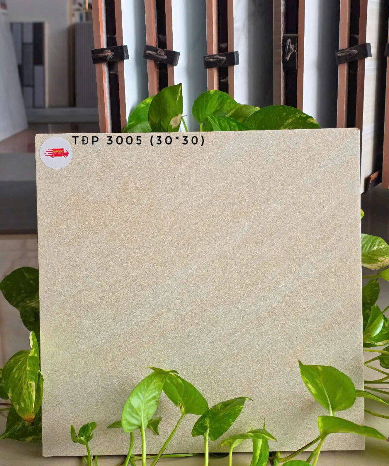 Gạch lát nền vệ sinh 30x30cm TDP3005