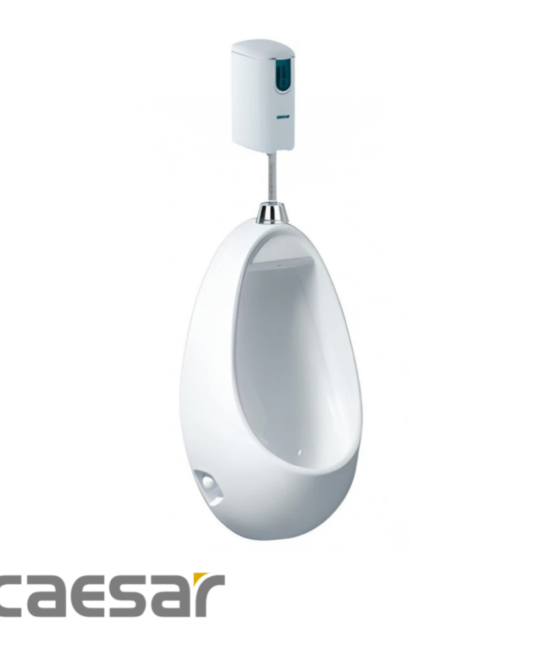 Bồn Tiểu Nam CAESAR U0221 Treo Tường